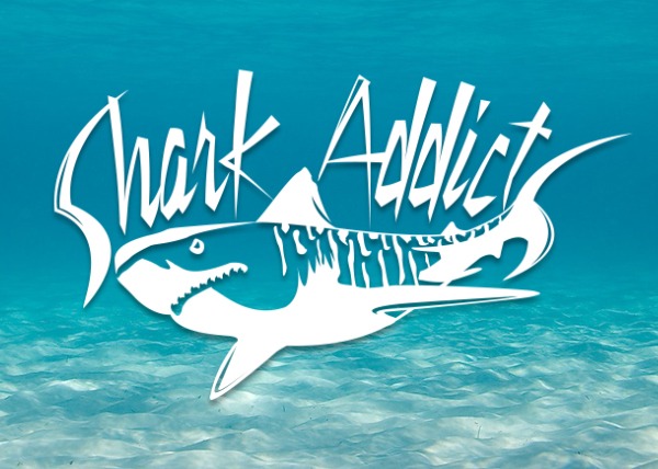 Shark Addicts