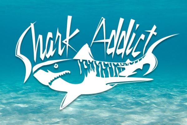 Shark Addicts